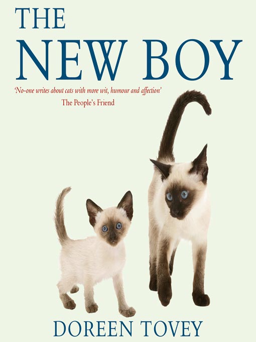 Cover image for The New Boy